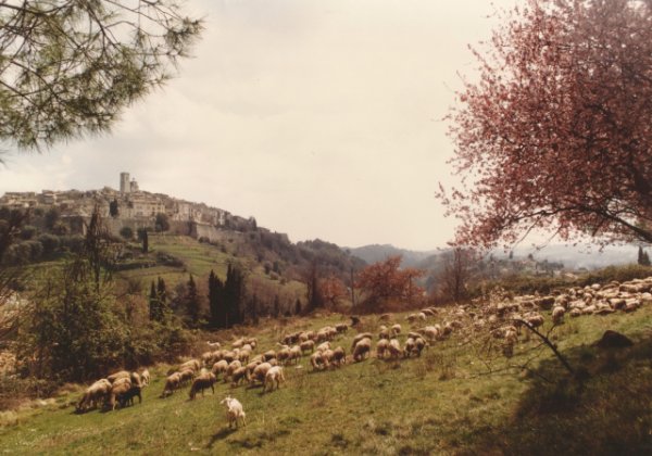 Saint Paul de Vence