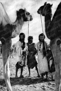Marché aux chameaux, Guelmin, 1953.