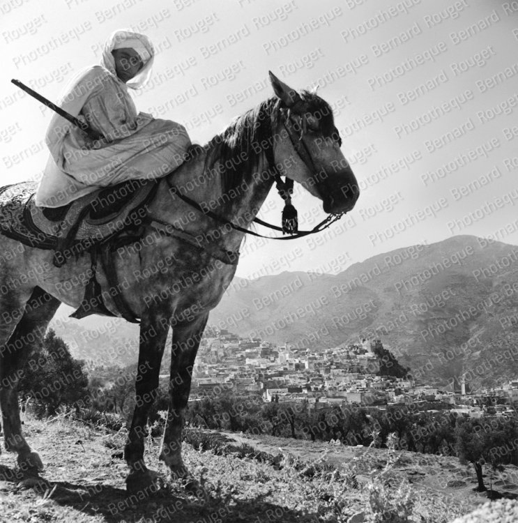Cavalier devant Moulay Idriss 1953