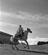 Caïd de Khénifra, 1952.