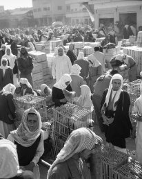 Djeddah Souk Arabie Saoudite - 1960